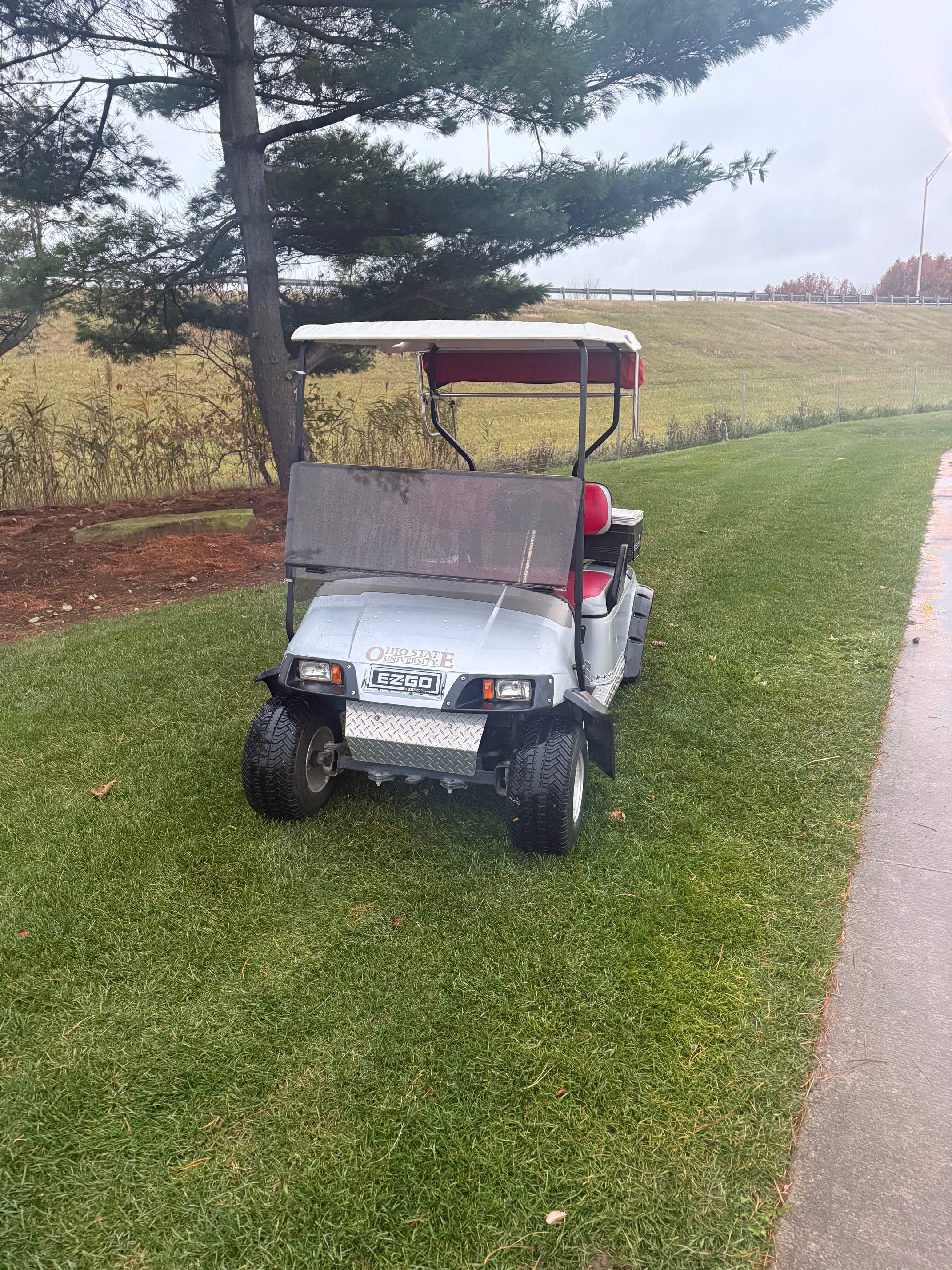 Ezgo Txt  Electric Two Passenger Golf Cart