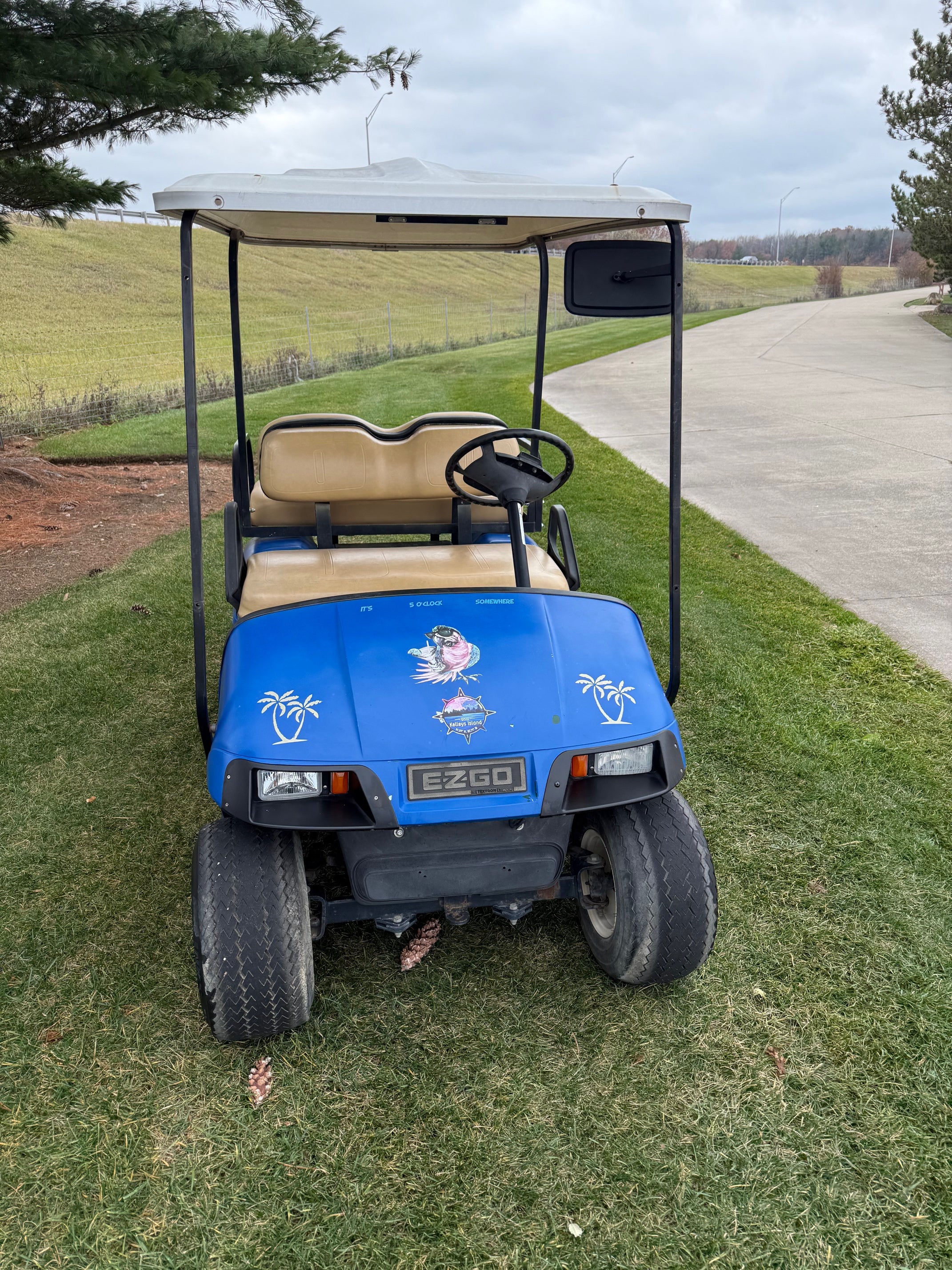 Ezgo  Four Seater  36 Volt  Electric Golf Cart
