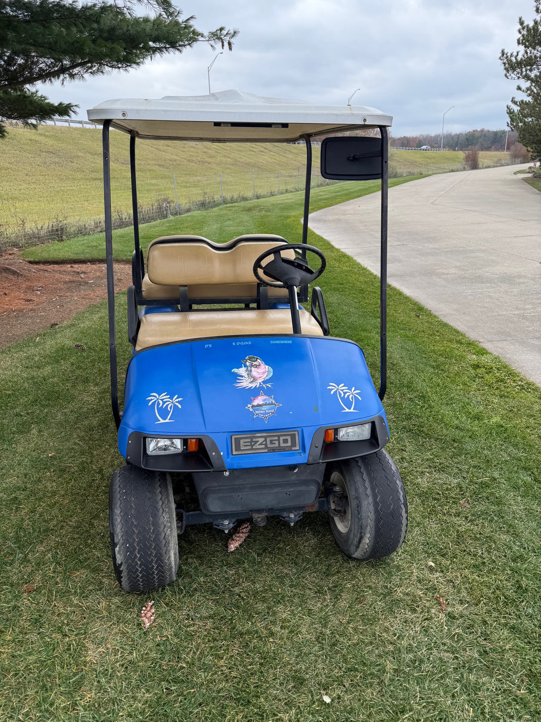 Ezgo  Four Seater  36 Volt  Electric Golf Cart