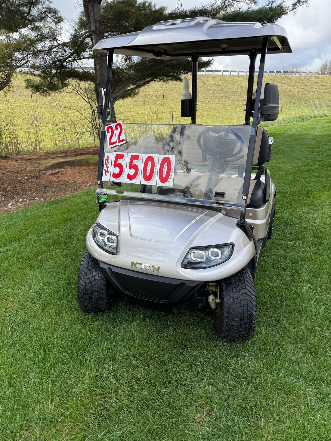 2022 Icon  Electric Two Passenger