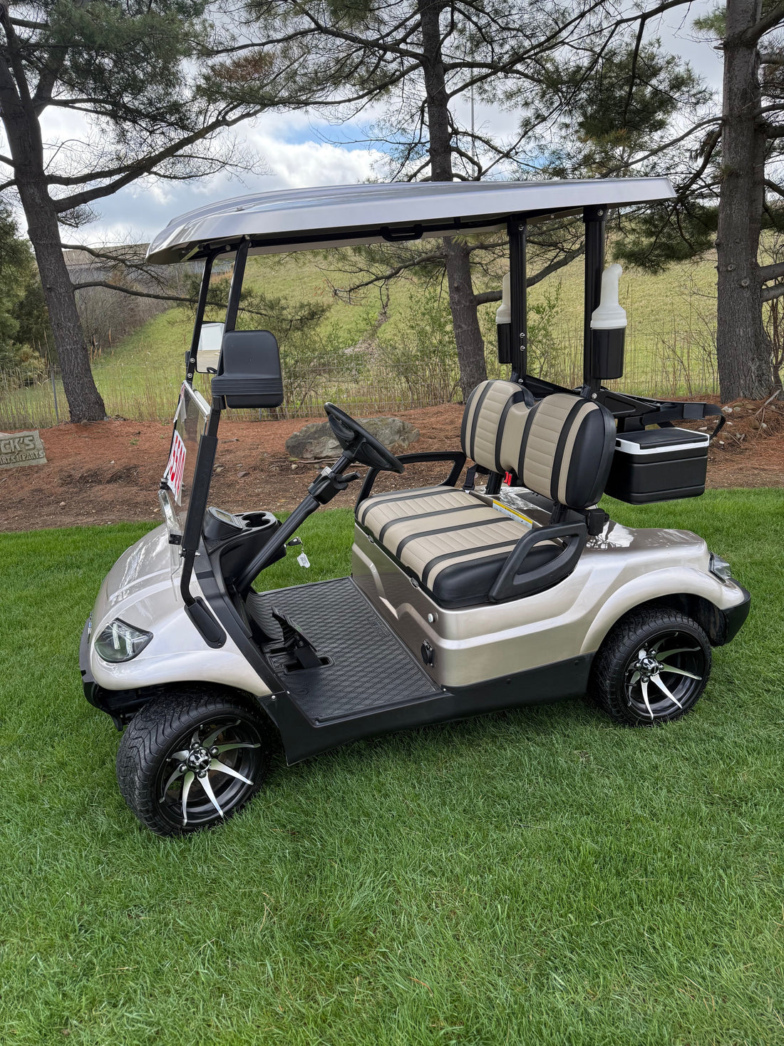 2022 Icon  Electric Two Passenger