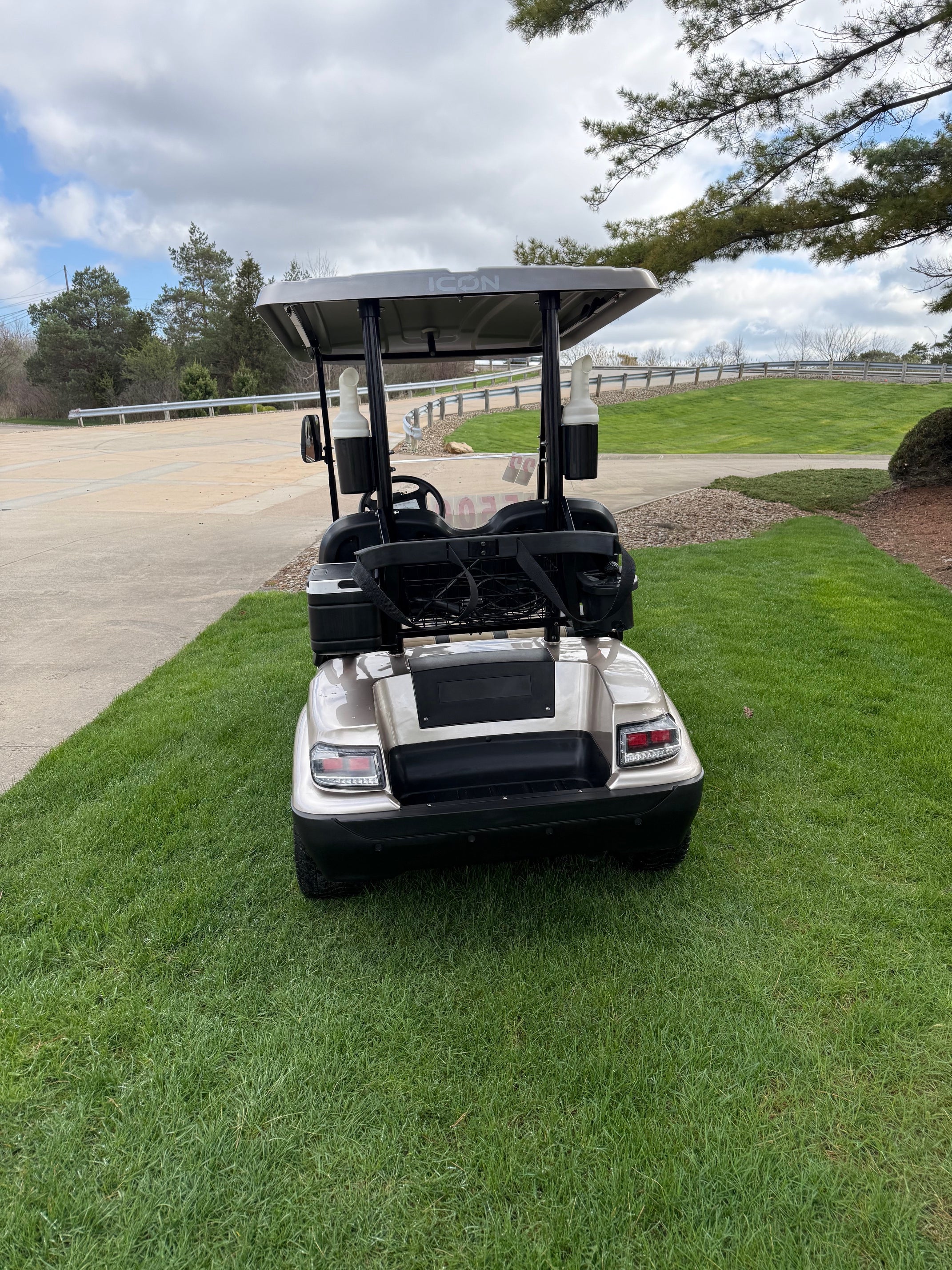 2022 Icon  Electric Two Passenger