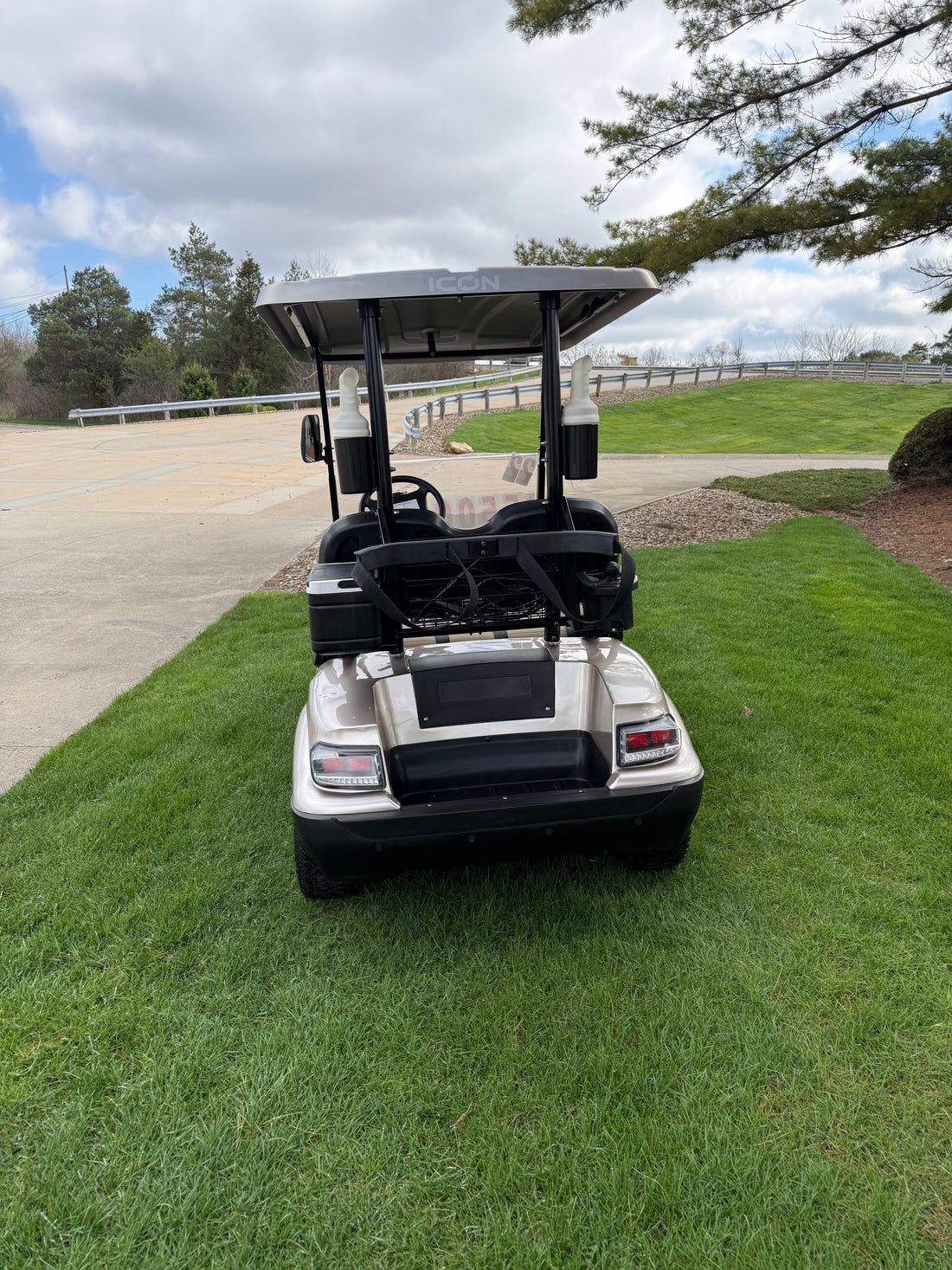 2022 Icon  Electric Two Passenger