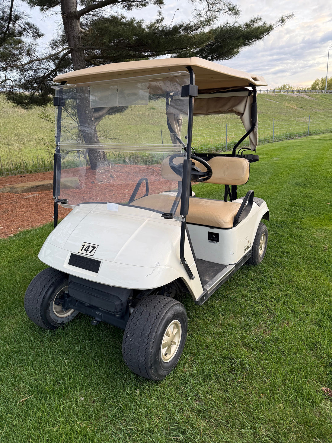 Ezgo Gas Two Passenger Golf Cart