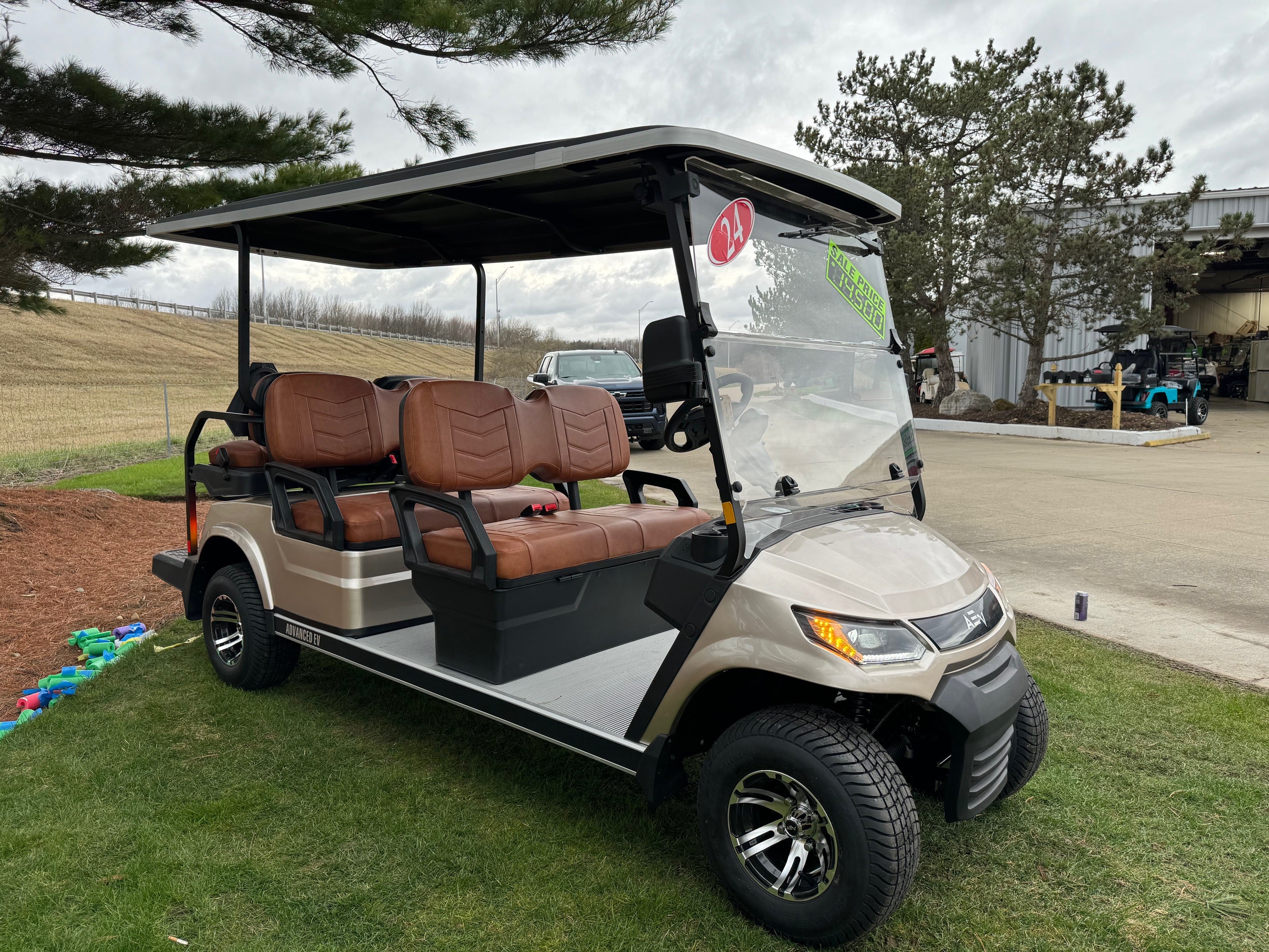 Advanced Ev Advent  6  Lithium Lsv Electric Golf Cart