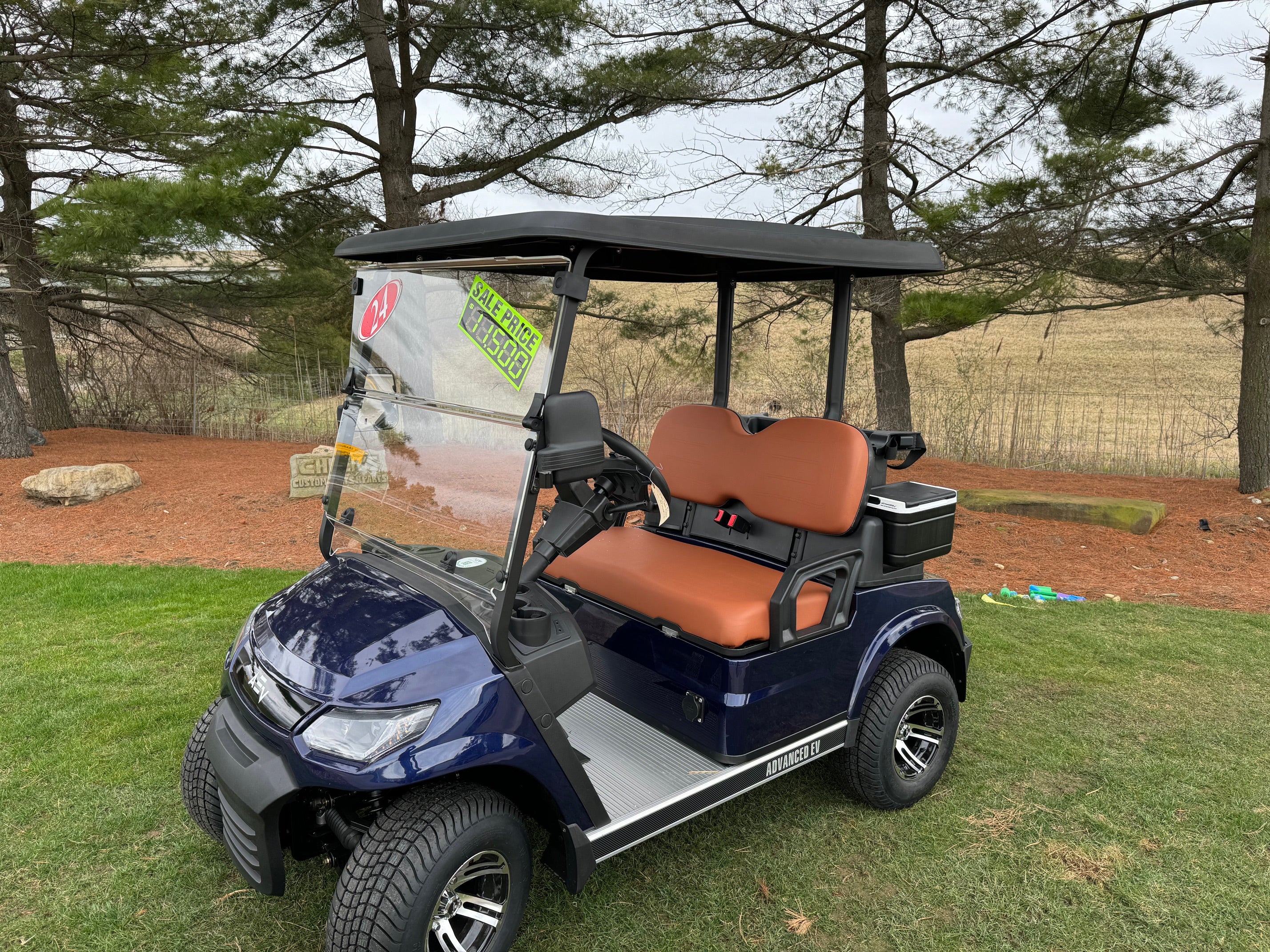 Advanced Ev Advent  2 Passenger Golfer  Lithium  Electric Golf Cart