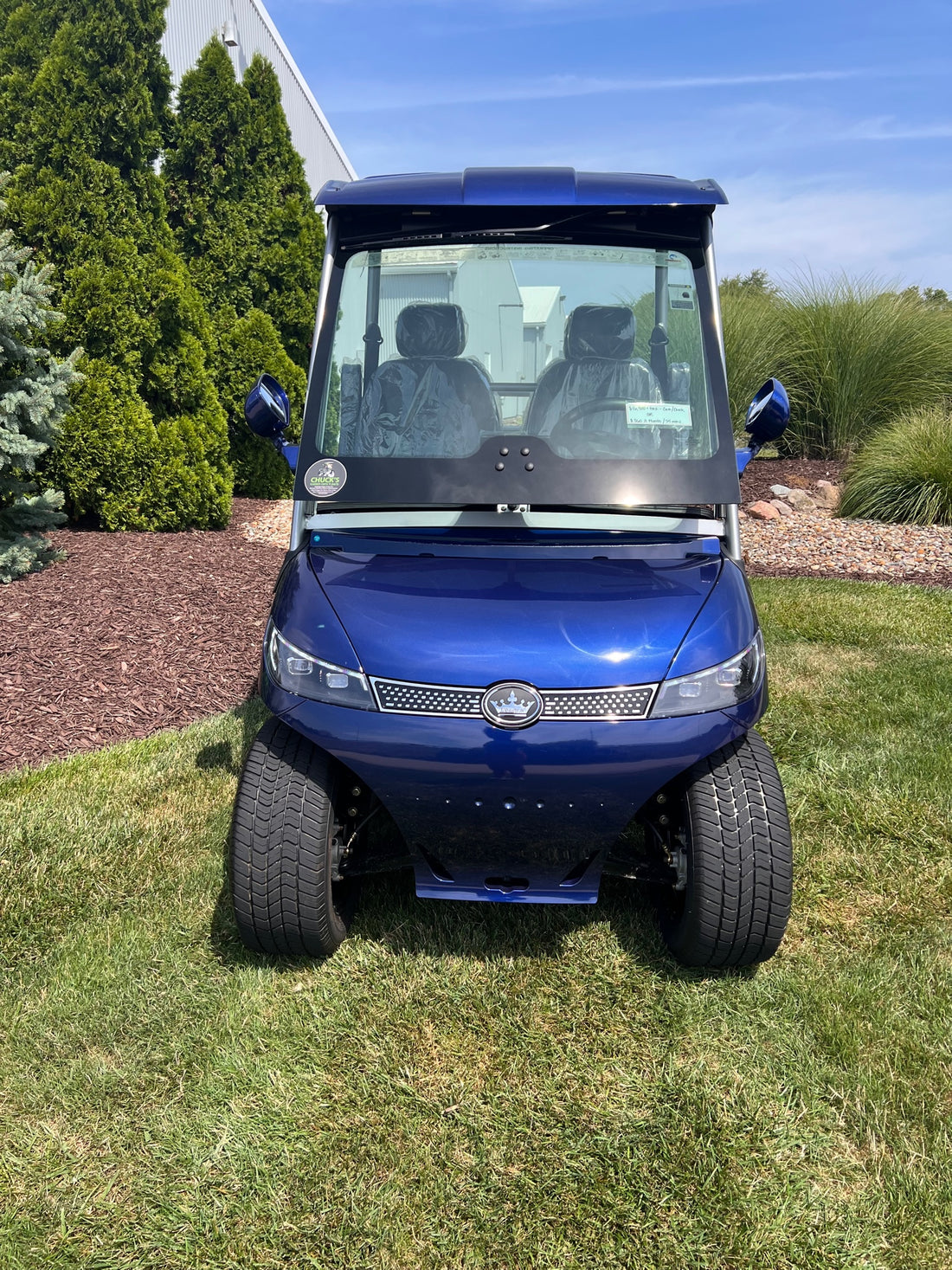 Evolution D3 Blue  Four Street Ready  Lithium Ion Four Passenger