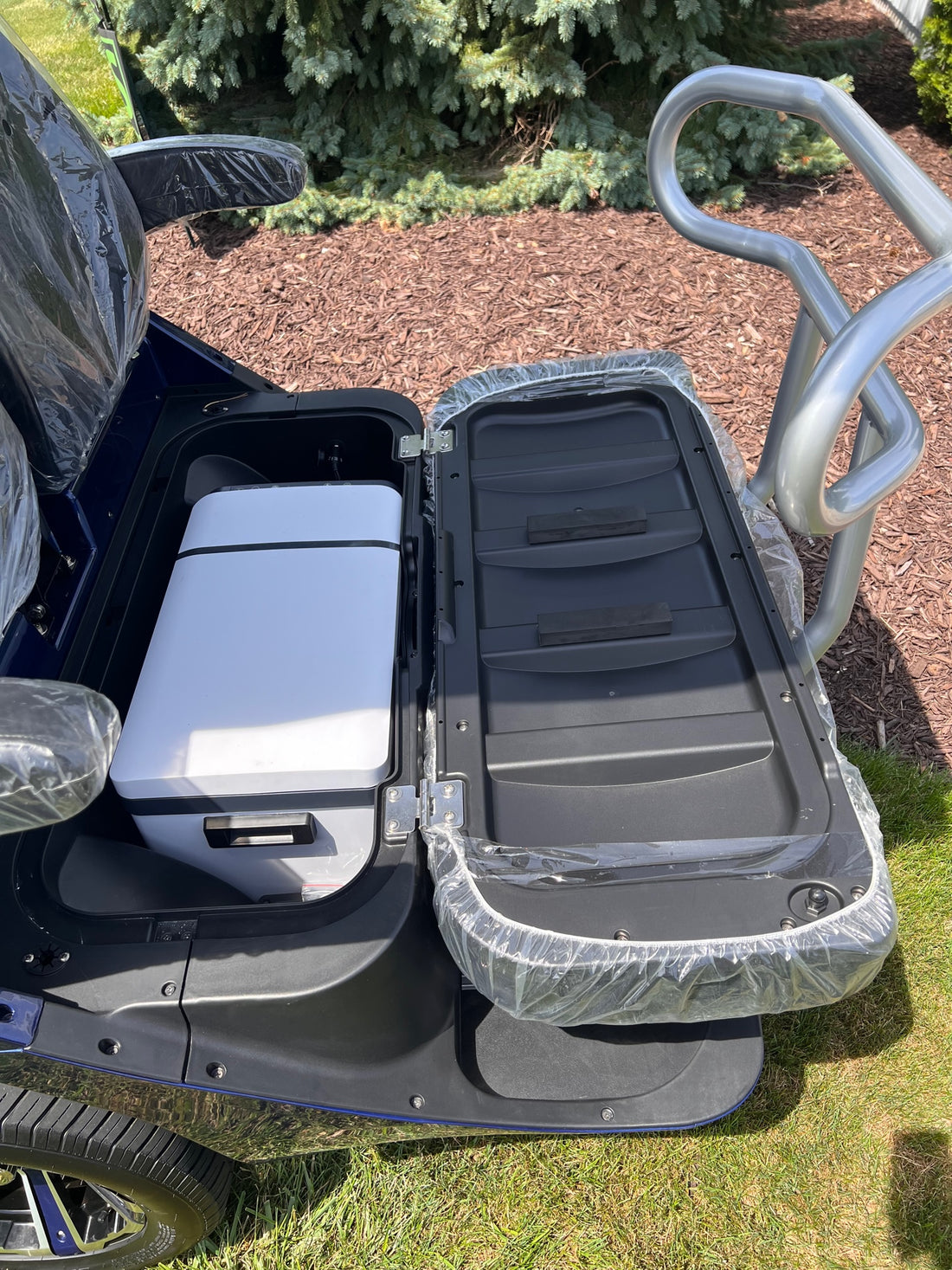 Evolution D3 Blue  Four Street Ready  Lithium Ion Four Passenger